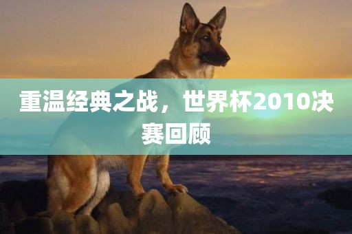 重温经典之战，世界杯2广西贺州市华昌新材料有限公司010决赛回顾