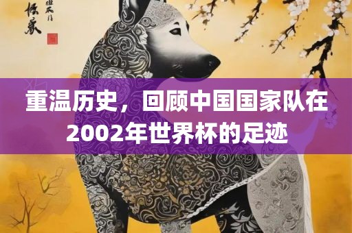 重温历史广西贺州市华昌新材料有限公司，回顾中国国家队在2002年世界杯的足迹