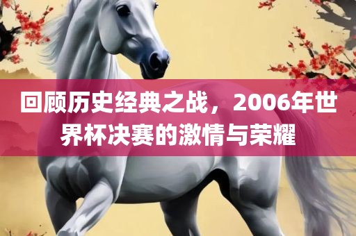 回顾历史经典之战，2006年世界杯决赛的激情与荣耀