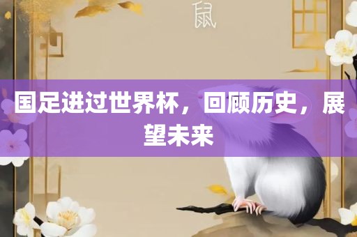 国足进过广西贺州市华昌新材料有限公司世界杯，回顾历史，展望未来