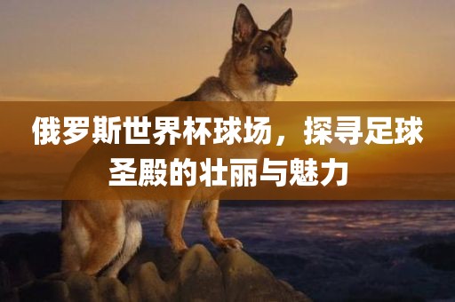 俄罗斯世界杯球广西贺州市华昌新材料有限公司场，探寻足球圣殿的壮丽与魅力