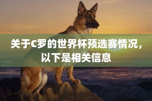 关于C罗的世界杯预选赛情况，以下是相关信息