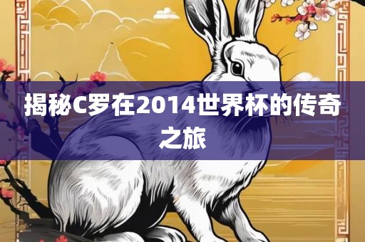 揭秘C罗在2014世界杯的传奇之旅广西贺州市华昌新材料有限公司