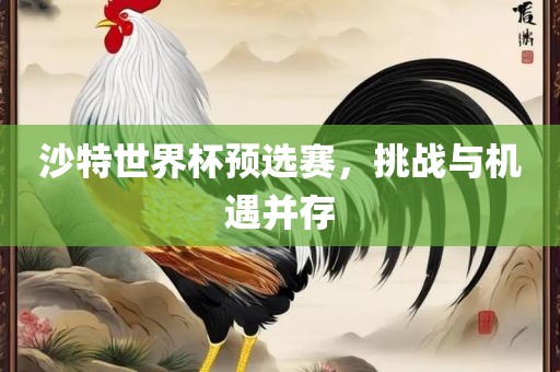 广西贺州市华昌新材料有限公司沙特世界杯预选赛，挑战与机遇并存