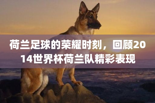 荷兰足球的荣耀时刻，回顾2014世界杯荷兰队精彩表现