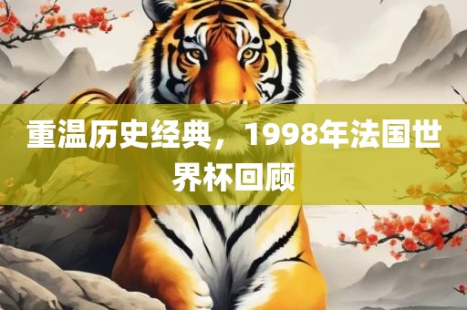 重温历史经典，1998年法国世界杯回顾广西贺州市华昌新材料有限公司