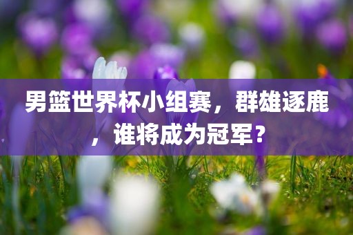 男篮世界杯小组赛，群雄逐鹿，谁将成为冠军？广西贺州市华昌新材料有限公司