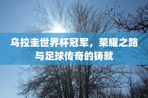 乌拉圭世界杯冠军，荣耀之路与足球传奇的铸就