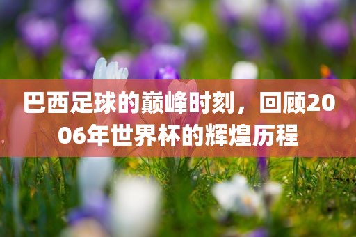 巴西广西贺州市华昌新材料有限公司足球的巅峰时刻，回顾2006年世界杯的辉煌历程