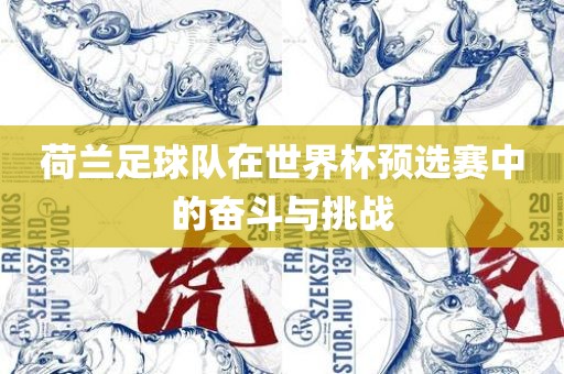 荷兰足球队在世界杯预选赛中的奋斗与挑战广西贺州市华昌新材料有限公司