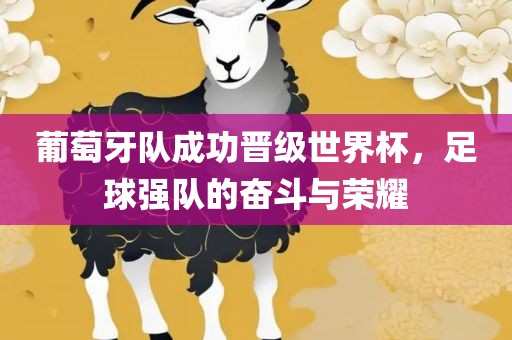 葡萄牙队成功晋级世界杯，足球强队的奋斗与荣耀广西贺州市华昌新材料有限公司