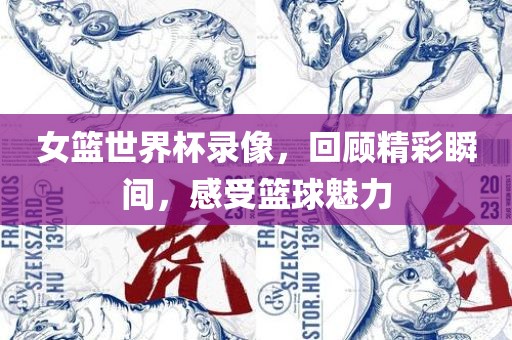 女篮世界杯录像，回顾精彩瞬间，感受广西贺州市华昌新材料有限公司篮球魅力