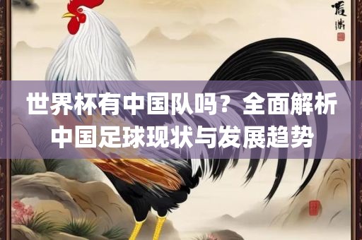 世界杯有中国队吗？全面解析中国足球现状与发展趋势广西贺州市华昌新材料有限公司