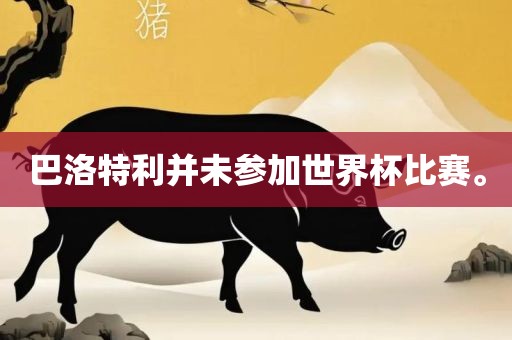 巴洛特利并未参加世界杯比赛。广西贺州市华昌新材料有限公司
