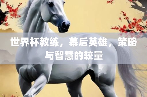 世界杯教练，幕后英雄，策略与智慧的较量广西贺州市华昌新材料有限公司