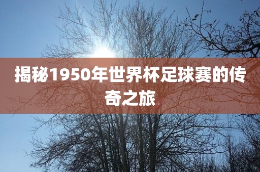 揭秘1950年世界杯足球赛的传奇之旅广西贺州市华昌新材料有限公司