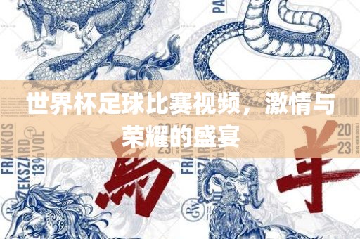世界杯足球比赛视频，激情与荣耀的盛宴