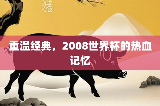 重温经典，2008世界杯的热血记忆