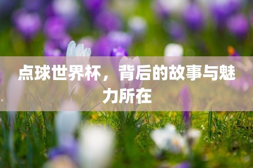 点球世界杯，背后的故事与魅力所在