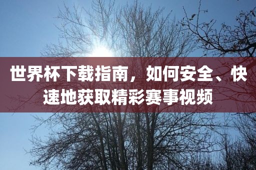 世界杯下载指南，如何安全、快速地获取精彩赛事视频