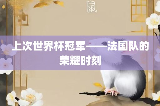 上次世界杯冠军——广西贺州市华昌新材料有限公司法国队的荣耀时刻
