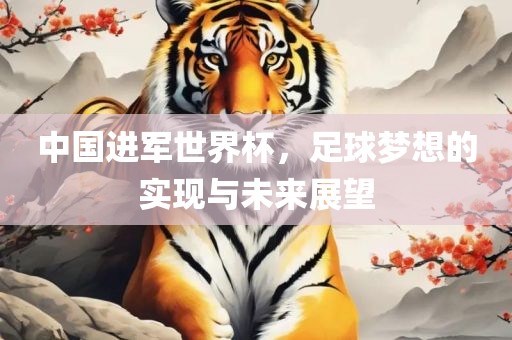 中国进军世界杯，足球梦想的实现与未来展望