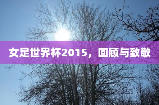 女足世界杯2015，回顾与致敬