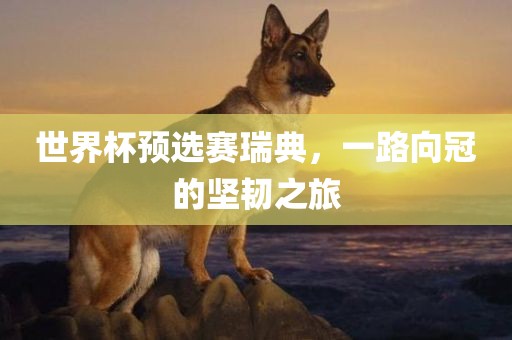 世界杯预选赛瑞典，一路向冠的坚韧之旅广西贺州市华昌新材料有限公司