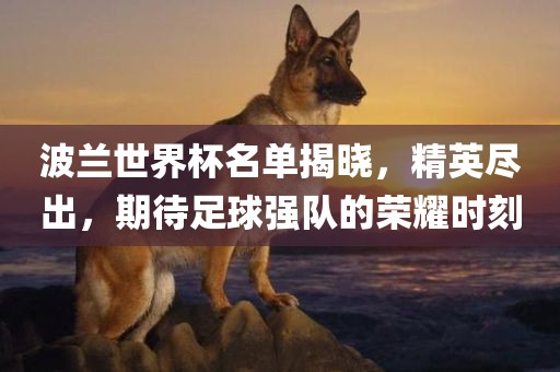 波兰世界杯名单揭晓，精英尽出，期待足球强队的荣耀时刻