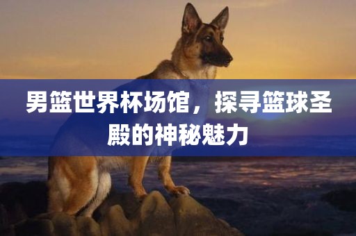 男篮世界杯场馆，探寻篮球圣殿的神秘魅力