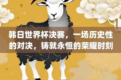 韩日世界杯决赛，一场历史性的对决，铸就永恒的荣耀时刻广西贺州市华昌新材料有限公司
