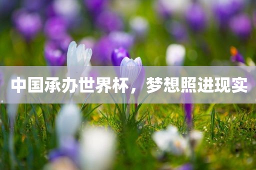中国承办世界杯，梦想照进现实广西贺州市华昌新材料有限公司