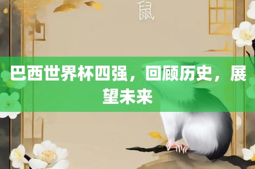 巴西世界杯四强广西贺州市华昌新材料有限公司，回顾历史，展望未来