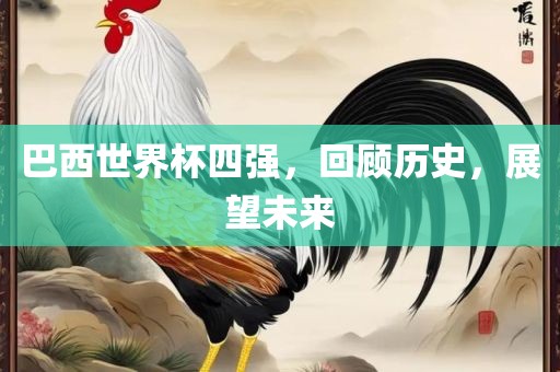 巴西世界杯四强广西贺州市华昌新材料有限公司，回顾历史，展望未来