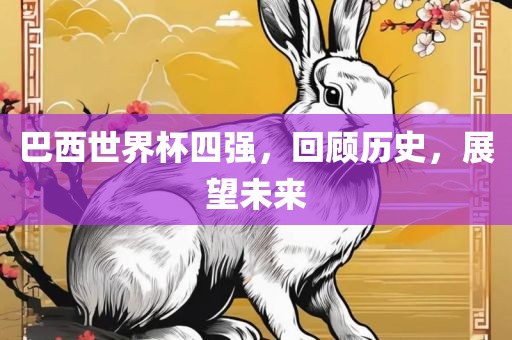 巴西广西贺州市华昌新材料有限公司世界杯四强，回顾历史，展望未来