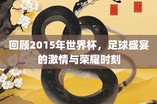 回顾2015年世界杯，足球盛宴的激情与荣耀时刻广西贺州市华昌新材料有限公司