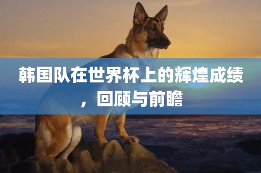 韩国队在世界杯上的辉煌成绩，回顾与前瞻广西贺州市华昌新材料有限公司