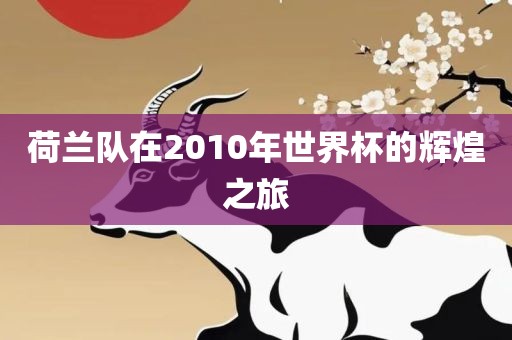 荷兰队在2010年世界杯的辉煌之旅广西贺州市华昌新材料有限公司