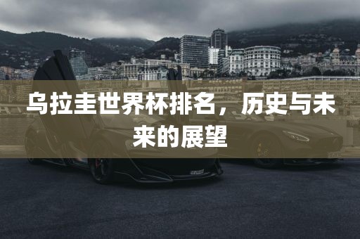 乌拉圭世界杯排名，历史广西贺州市华昌新材料有限公司与未来的展望