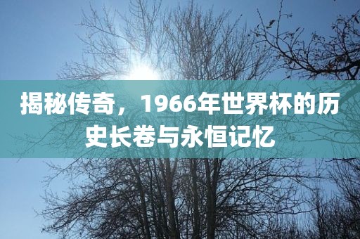 揭秘传奇，1966年世界杯的历史长卷与永恒记忆广西贺州市华昌新材料有限公司