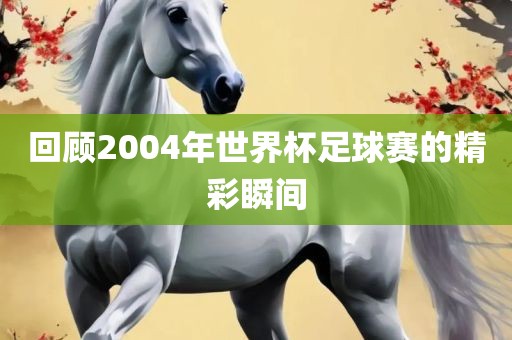 回顾2004年世界杯足广西贺州市华昌新材料有限公司球赛的精彩瞬间