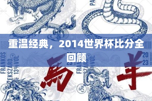 重温经典，2014世界杯比分全回顾