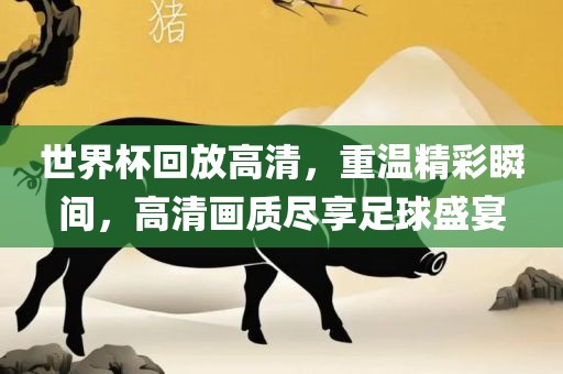 世界杯回放高清，重温精彩瞬间，高清画质尽享足球盛宴