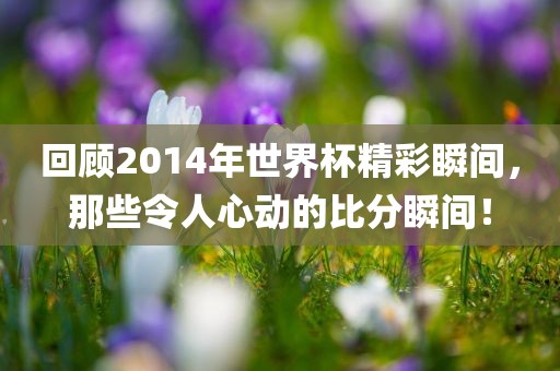 回顾2014年世界杯精彩瞬间，那些令人心动的比分瞬间！广西贺州市华昌新材料有限公司