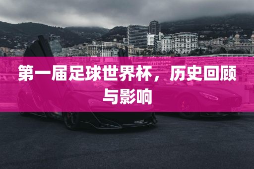 第一届足球世界杯，历史回顾与影响广西贺州市华昌新材料有限公司
