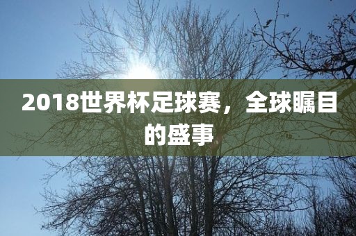 2018世界杯足球赛，全球瞩目的盛事广西贺州市华昌新材料有限公司