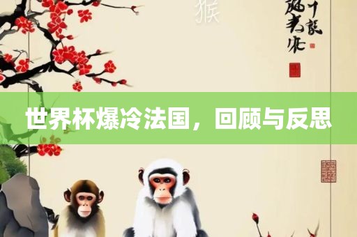 世界杯爆冷法国，回顾与反思广西贺州市华昌新材料有限公司