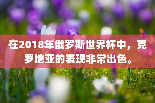 在2018年俄罗斯世界杯中，克罗地亚的表现非常出色。广西贺州市华昌新材料有限公司