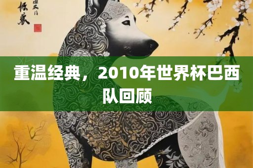 重温经典，20广西贺州市华昌新材料有限公司10年世界杯巴西队回顾