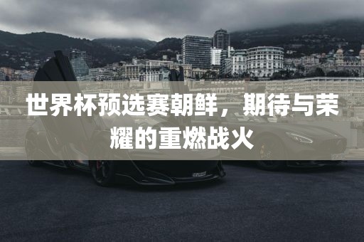 世界杯预选赛朝鲜，期待与荣耀的重燃战火
